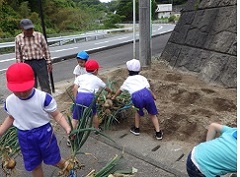 手押し車に玉ネギをのせる