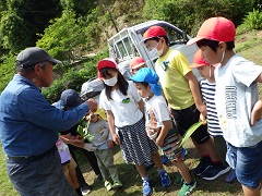 芋苗植えの仕方を聞く