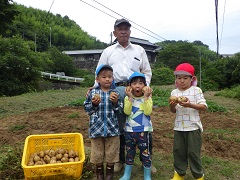 ジャガイモを掘れたよ、公民館長さんと一緒に