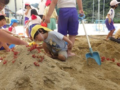 砂場で木の実の山をのぞく幼児