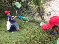 小学生と一緒に虫とりをする