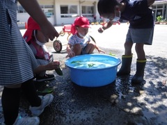 幼児の様子