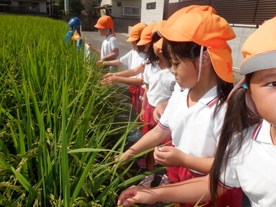 幼児の様子