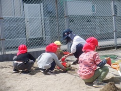 砂遊びをする幼児の写真