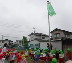 こいのぼりをあげる幼児の写真