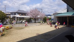 園庭で遊ぶ幼児の写真