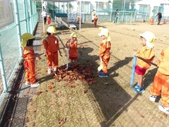 葉っぱを集める幼児の写真