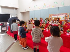 ひな人形を飾る幼児の写真