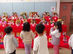 ひな人形を飾る幼児の写真