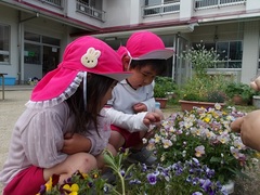 花を見る様子