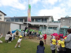 大きなこいのぼりをあげる様子