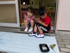 くじら組のチョウの様子