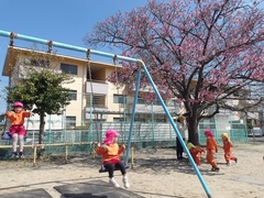 散歩に行く幼児の写真