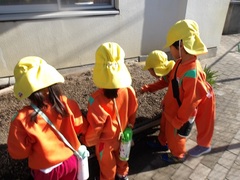 ジャガイモの様子を見る幼児の写真