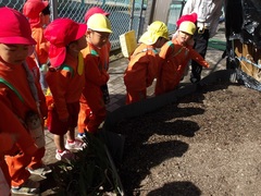 ジャガイモの様子を見る幼児の写真