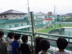 2階から芝生を見る様子