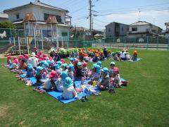 4月19日芝生の様子