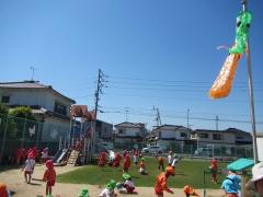4月24日芝生の様子2