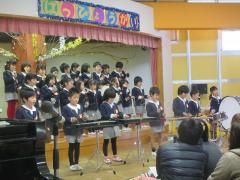 12月12日の芝生の様子