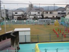 12月6日の芝生の様子