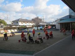 1月22日の芝生の様子