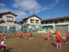 3月11日の芝生の様子