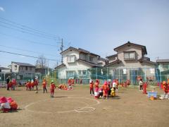 3月14日の芝生の様子