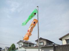 4月23日の芝生の様子