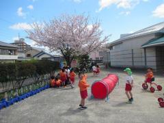 園庭で遊んでいる様子