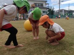 芝生で遊んでいる様子