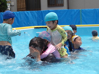 わに