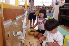 ドングリ転がしをする様子