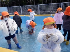 氷遊びを楽しむ様子