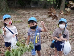 木を拾う幼児の様子