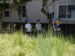 雑草園で虫取りを楽しむ様子