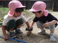 園庭で遊ぶ様子