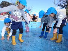 プールに氷が張っている様子