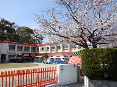 園庭の桜の様子