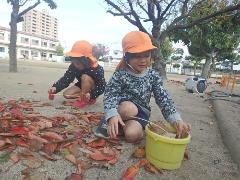 葉っぱを集める子どもたち