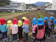 田を耕す様子を見る