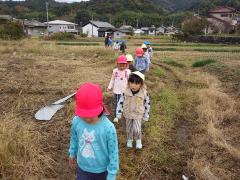 あぜ道の散歩