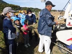 脱穀の手伝いをする幼児