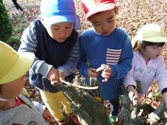 切り株で遊ぶ幼児たち