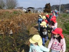 蓮池を見る幼児