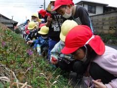 花を見付けた幼児