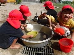 水遊びを楽しむ幼児