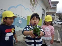 花を植える3歳児