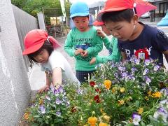 虫探しをする幼児