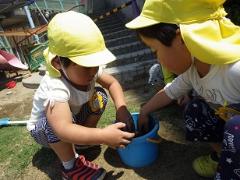 泥団子を作る3歳児