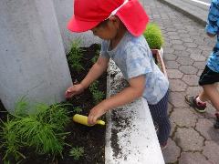花を植える幼児